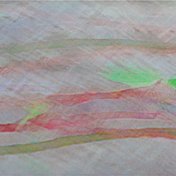 ImageDiary Ragdale Reeds 100% silk chiffon scarf - limited edition 12/15 - Picture 2 of 2